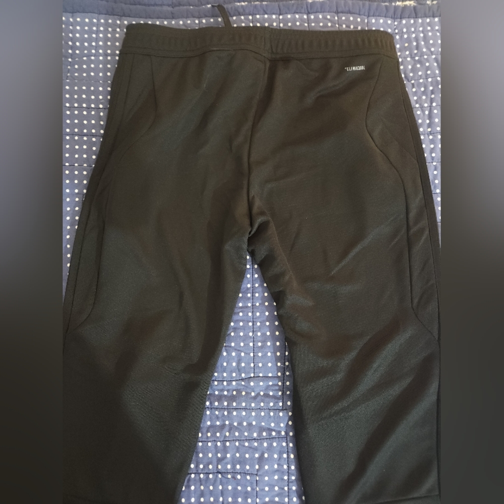 Adidas Trackpants - image 3